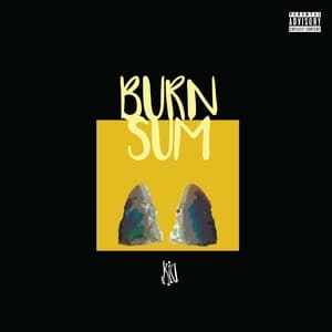 Album cover art for Burn Sum