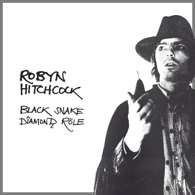 Album cover art for Black Snake Diamond Role
