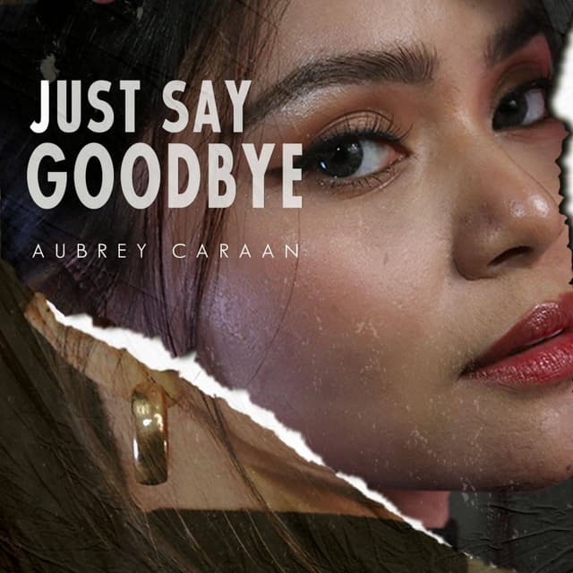 Album cover art for Just Say Goodbye