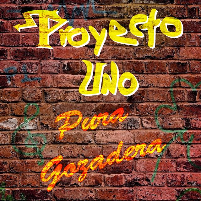 Album cover art for Pura Gozadera