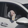Drive Thru
