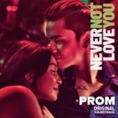 Album cover art for Prom (From "Never Not Love You")