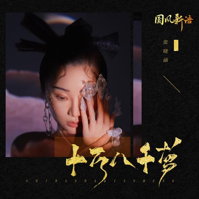 Album cover art for 十万八千梦