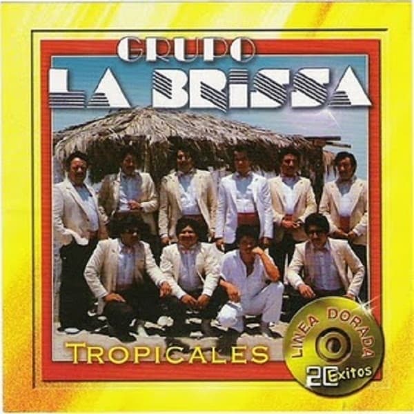Album cover art for Tropicales