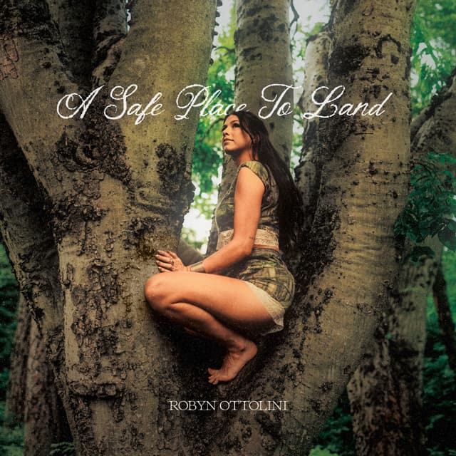 Album cover art for A Safe Place To Land