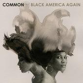 Album cover art for Black America Again