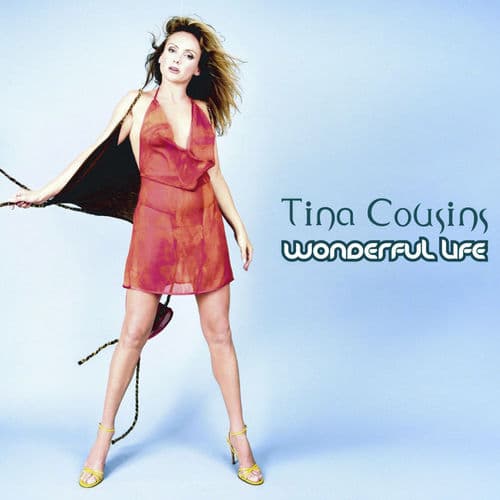 Album cover art for Wonderful Life