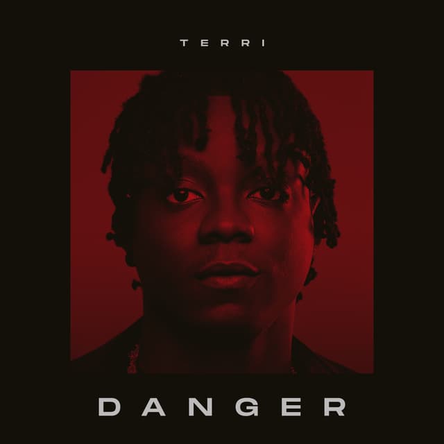 Album cover art for Danger