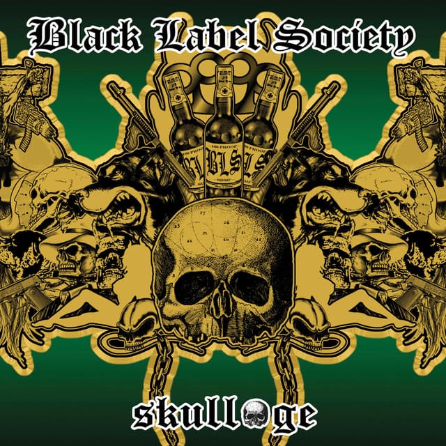 Album cover art for Skullage