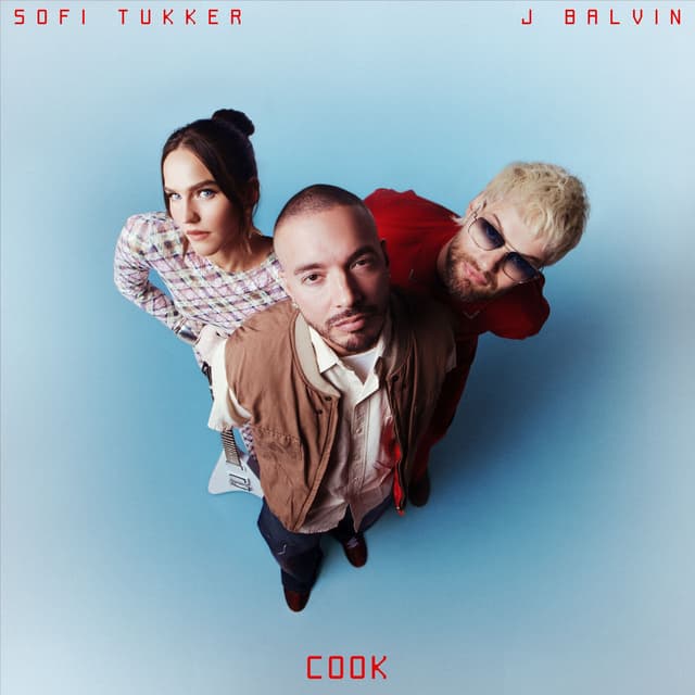 Album cover art for COOK