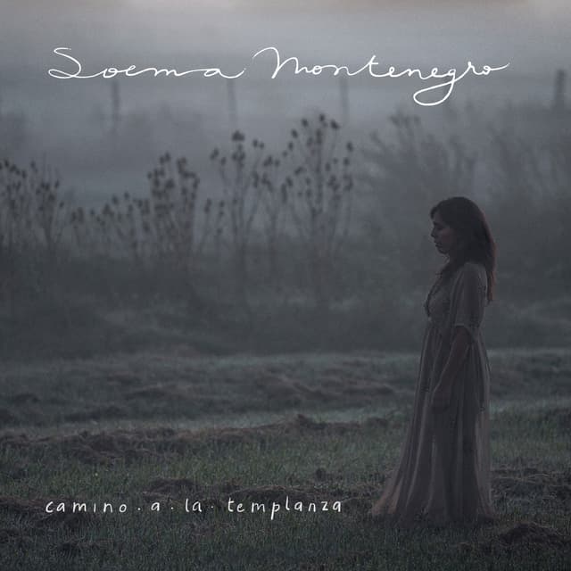 Album cover art for Camino a la templanza