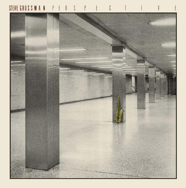 Album cover art for Perspective