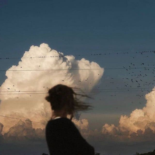 Album cover art for 날아가