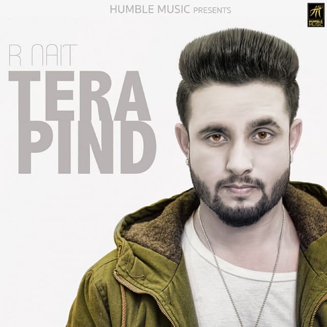 Album cover art for Tera Pind