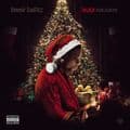 Album cover art for Savage Holidays
