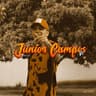 Junior Campos V1