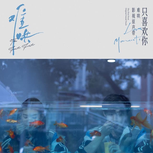 Album cover art for 电视剧《难哄》影视原声带·只喜欢你Love Moments