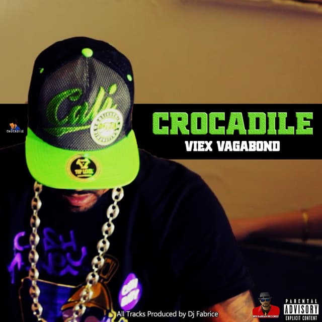Album cover art for Viex Vagabond