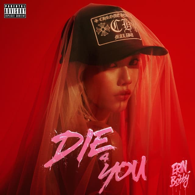 Album cover art for DIE 4 YOU