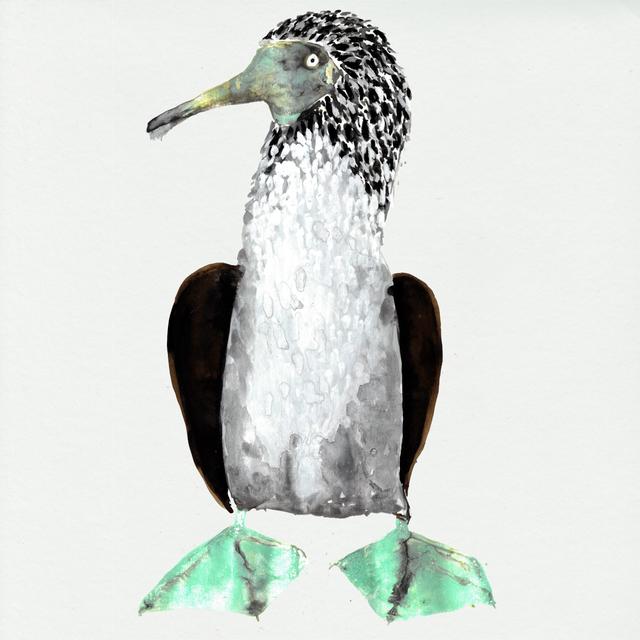 Album cover art for Galápagos [Original Series Soundtrack]