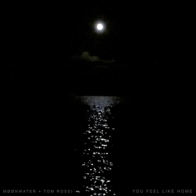 Album cover art for You Feel Like Home