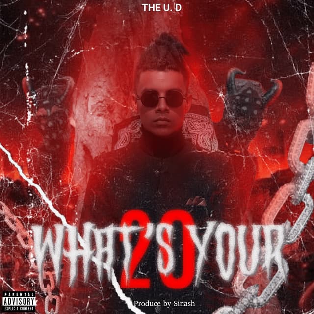 Album cover art for What's Your 20