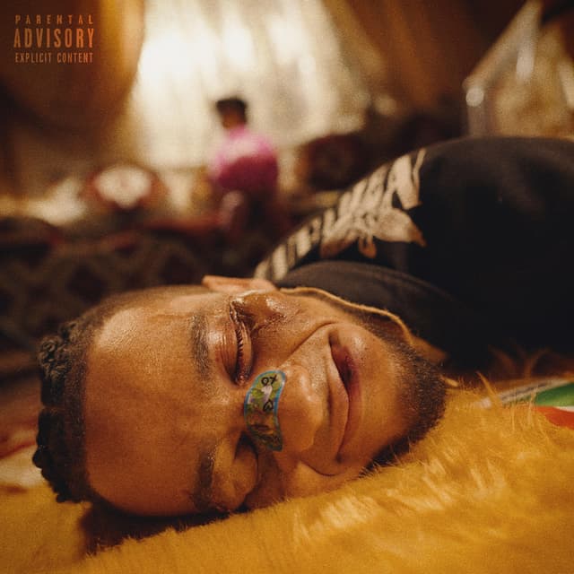 Album cover art for Le Sourire des Miens