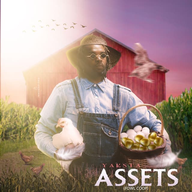 Album cover art for Assets (Fowl Coop)