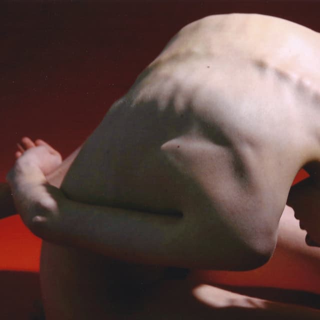 Album cover art for Active Lovers