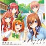 はつこい