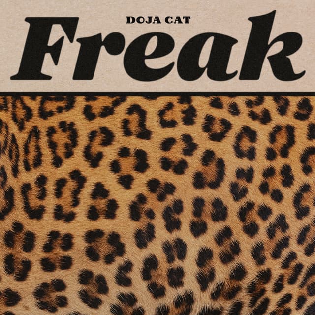Album cover art for Freak