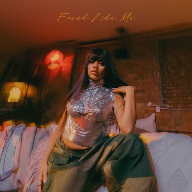 Album cover art for Freak Like Me