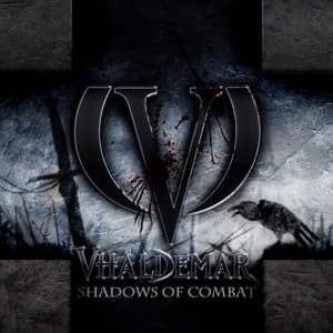 Album cover art for Shadows of Combat