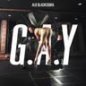 G.A.Y o(T^T)o (G.A.Y)