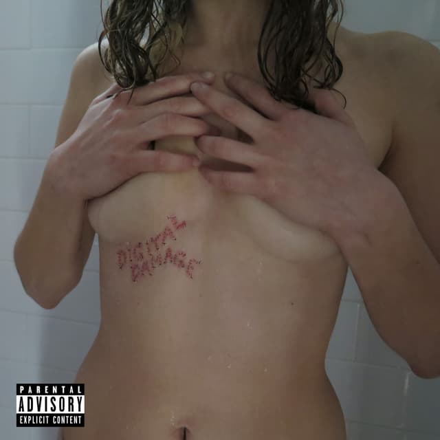 Album cover art for Digital Damage
