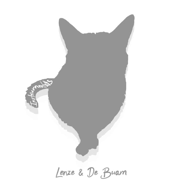 Album cover art for Lenze & De Buam (Instrumental)