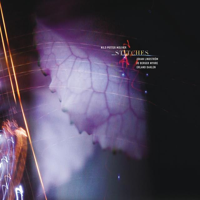 Album cover art for Stitches
