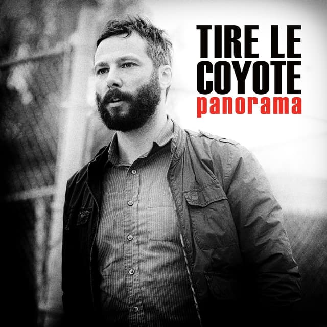 Album cover art for Panorama