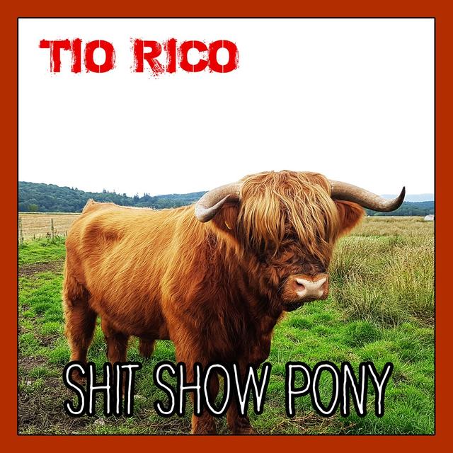 Album cover art for Shit Show Pony