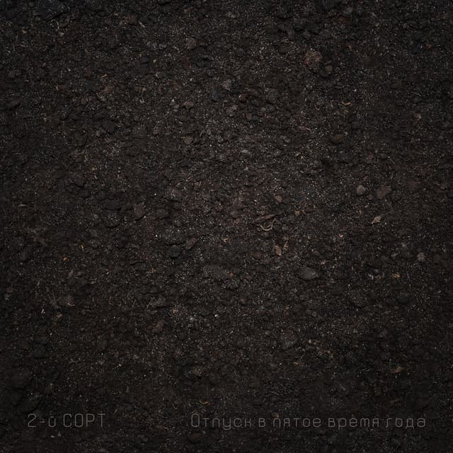 Album cover art for Отпуск в пятое время года