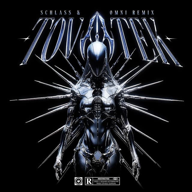 Album cover art for Tovatek (OMNI & SCHLASS remix)