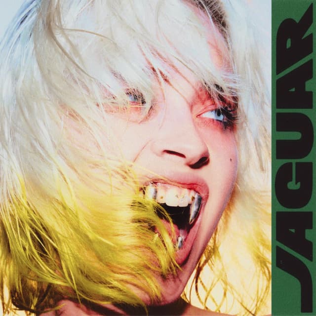 Album cover art for Jaguar