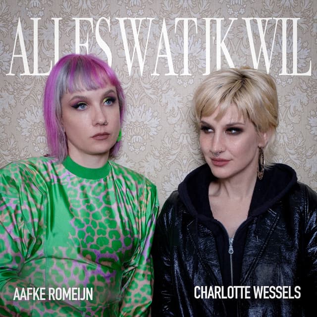 Album cover art for Alles wat ik wil