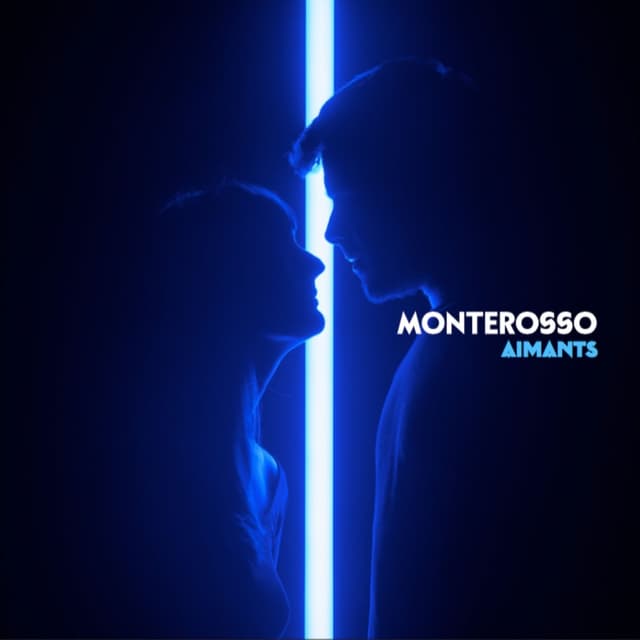 Album cover art for Aimants