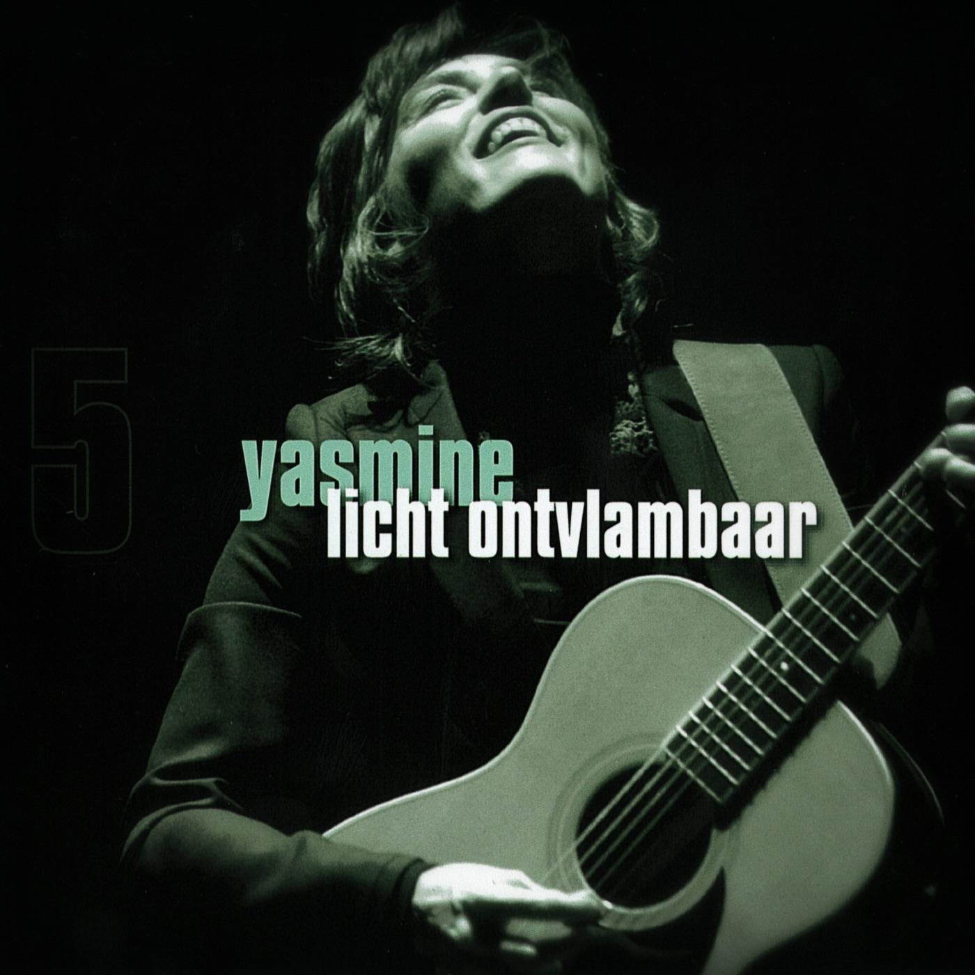 Licht Ontvlambaar