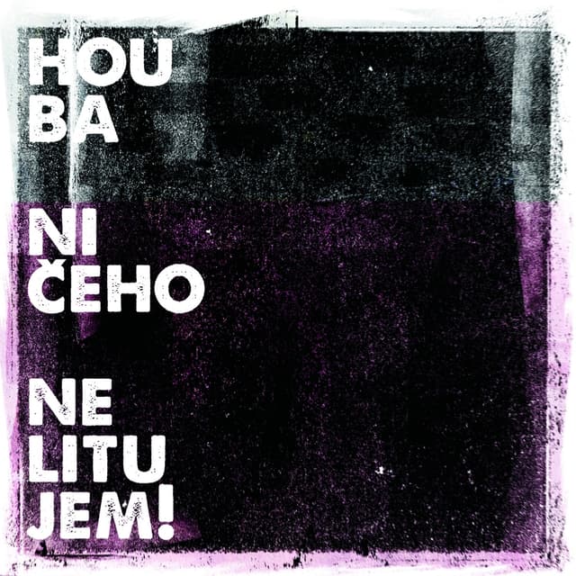 Album cover art for Ničeho nelitujem!