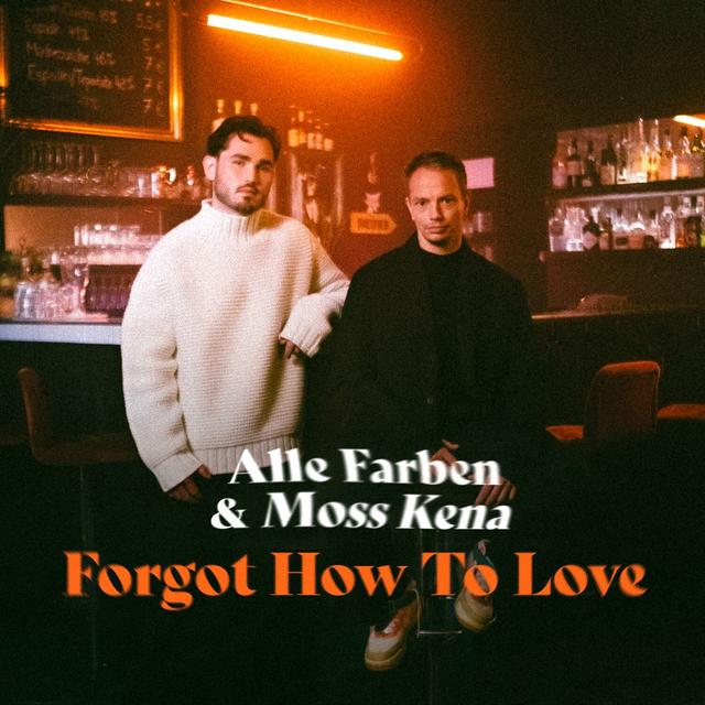 Album cover art for Forgot How to Love