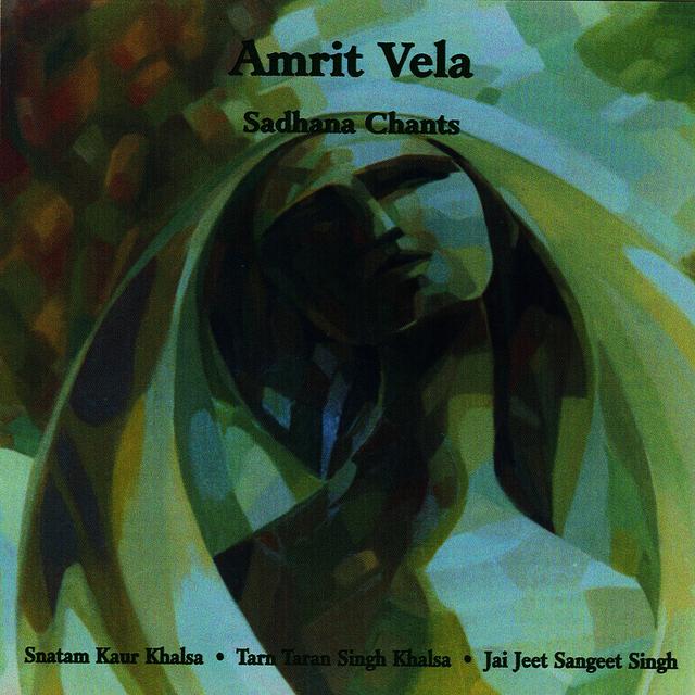 Album cover art for Amrit Vela