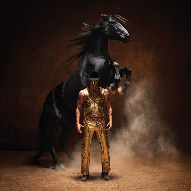 Album cover art for Bronco