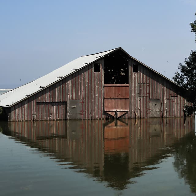 Album cover art for Pray for Rain
